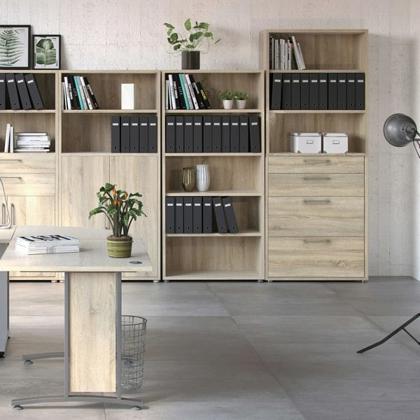 Furniture To Go Prima Bookcase 2 Shelves With 2 Drawers 2 File Drawers In Oak