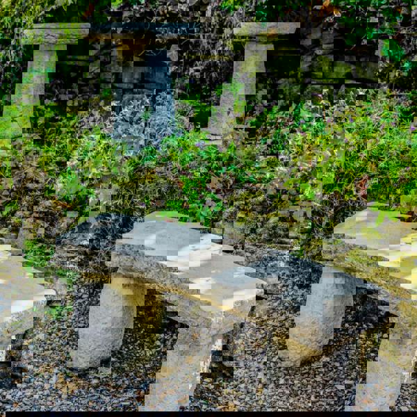 Carved Bench and York Bird Bath Great Value 2pc Set