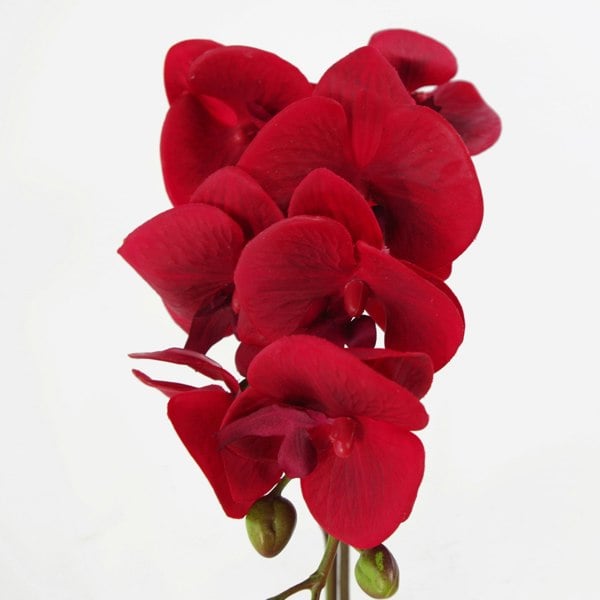 Leaf 46cm Artificial Orchid Red with Silver Pot