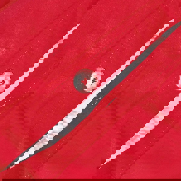 HOMESCAPES Crisp & Cool 200 TC Egyptian Cotton Percale Duvet Cover Set