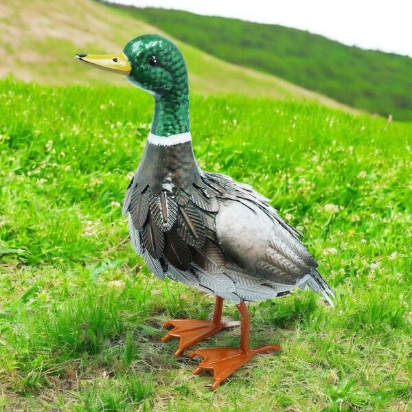 EDH Door Hardware Metal Farmyard Male Duck (38.5cm x 15.5cm x 30cm) – Handcrafted Rustic Duck Garden Ornament – Weather-Resistant Metal Duck Statue