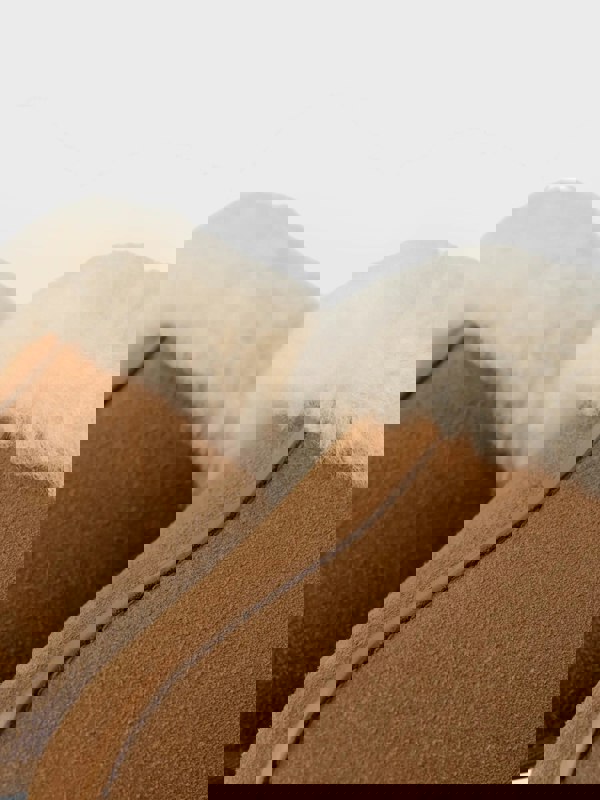 Ugg Women's Disquette Slipper Chesnut