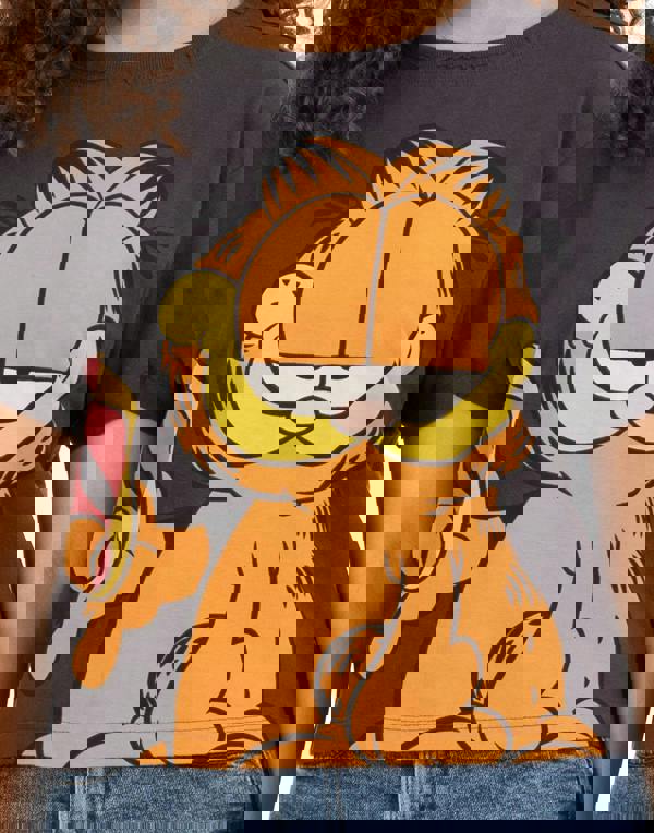 Garfield Womens Grey Character Cropped Short Sleeved T-Shirt