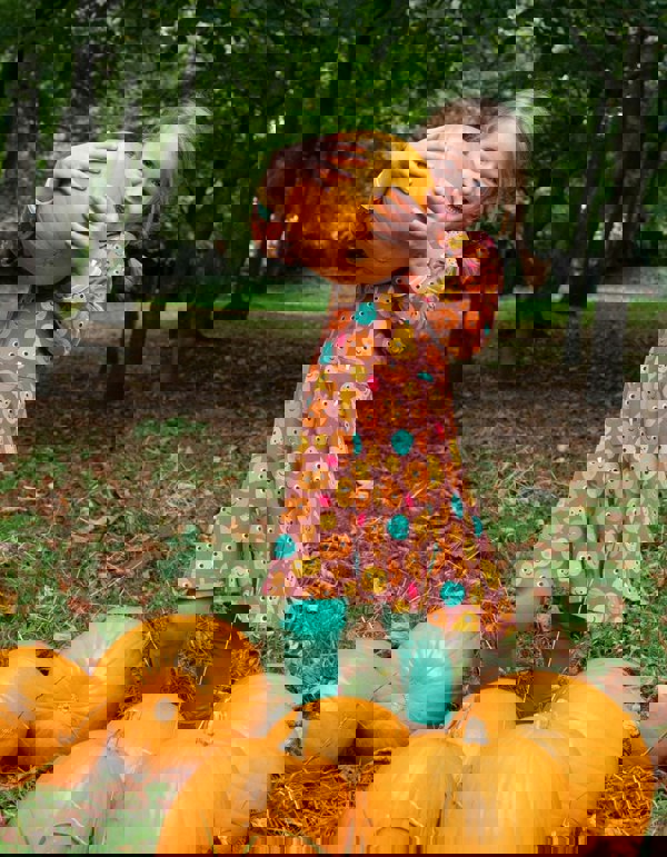 Organic Pumpkin Print Long - Sleeved Skater Dress - Toby Tiger UK Retail