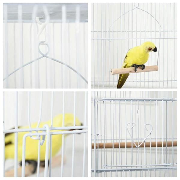 White metal bird cage interior with curved hooks and wooden perch