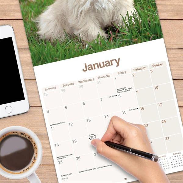 Lhasa Apso Calendar 2027, Wall Calendars, Month To View, Dogs, Gift