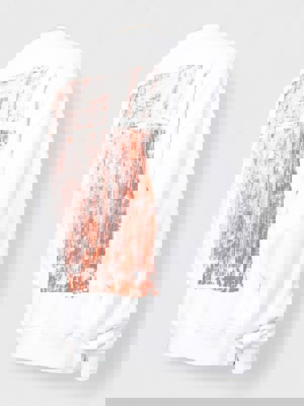 Off-White Sweatshirt Scratch Tab Skate Crewneck White