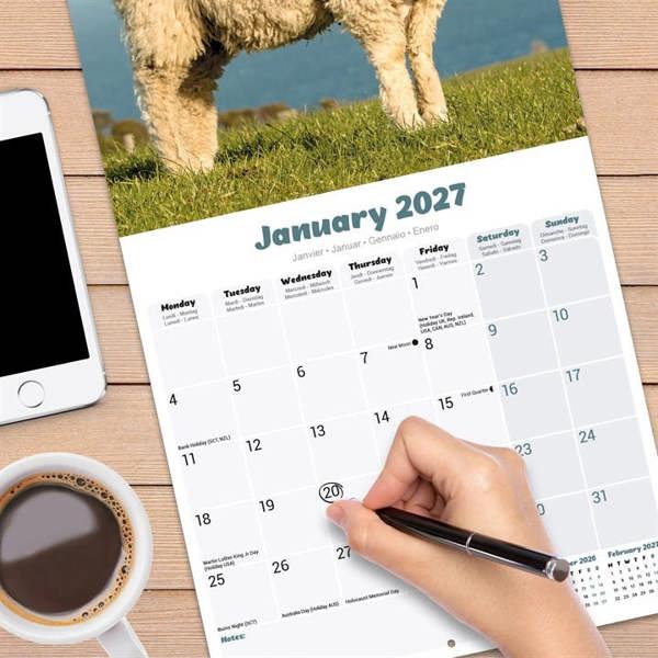 Sheep Calendar 2027, Wall Calendars, Month To View, Animals, Gift