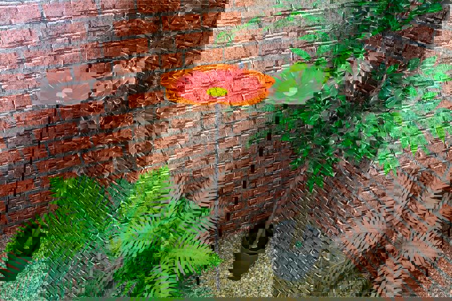 St Helens Ornamental Free Standing, Weather Resistant, Easy Assemble Bird Bath and Feeder