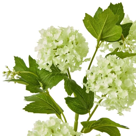 Wyld Haus Set of 3 Artificial Flowers Green Snowball Viburnum Sprays