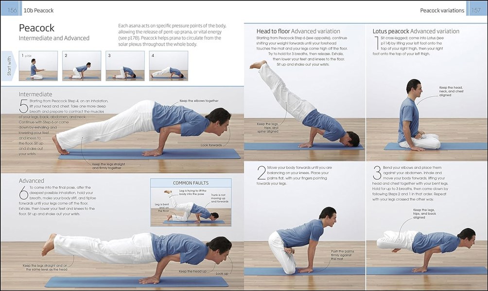 Yoga Your Home Practice Companion: A Complete Practice and Lifestyle Guide