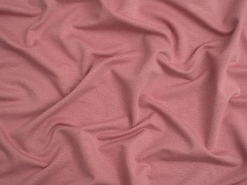 Sorbet