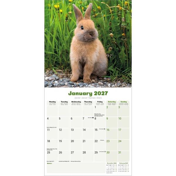 Rabbits Calendar 2027, Wall Calendars, Month To View, Animals, Gift