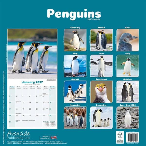 Penguins Calendar 2027, Wall Calendars, Month To View, Animals, Gift