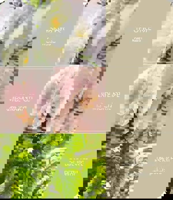 Love Always Fragrance Notes