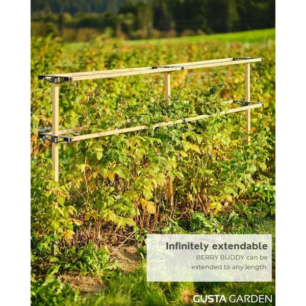 BERRY BUDDY climbing solution for berries