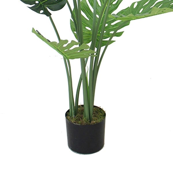 Leaf 120cm (4ft) Luxury Monstera Plant Black Pot