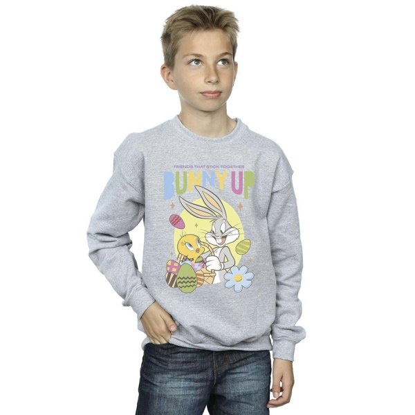 Looney Tunes Boys Bunny Up Sweatshirt - Sports Grey