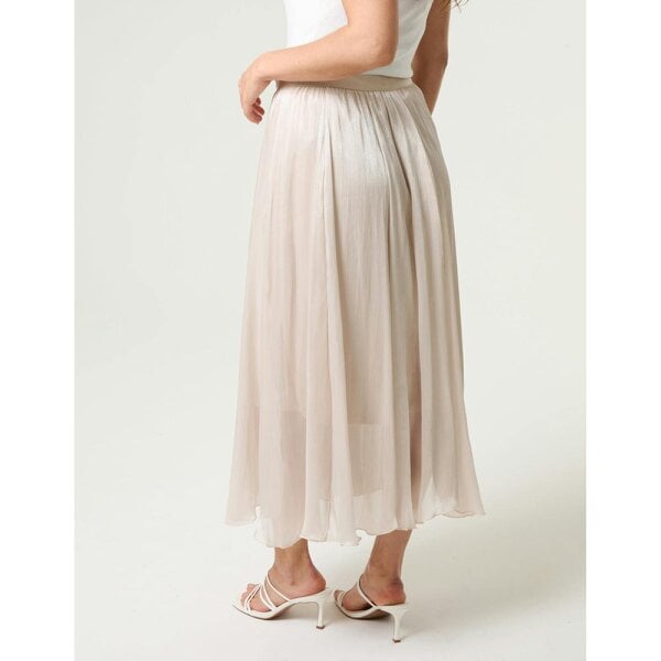 Blue Vanilla Mesh Tulle Pleated Skirt