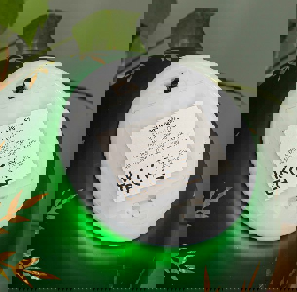 Samuel Alexander 15cm Battery Operated Light up Snowflake Glass Ball in Green with Warm White LEDs