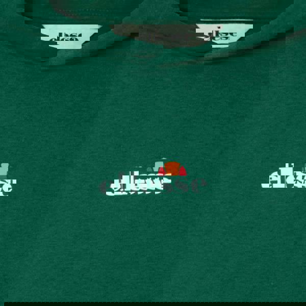 Ellesse Boys Otternere 2 Hoodie - Dark Green - 