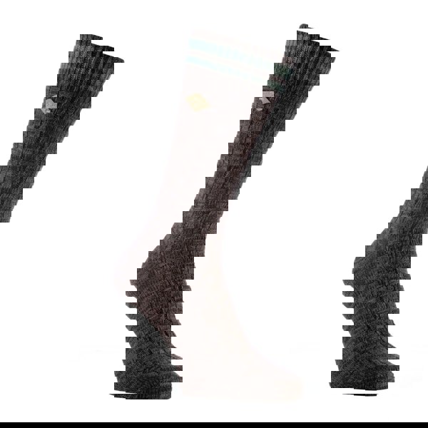 t4option1_1