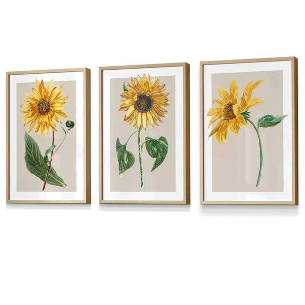 Artze Wall Art Vintage Yellow Sunflowers Set of 3 Framed Prints