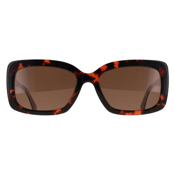 Barbour Sunglasses BA8121 C3 Tortoise Brown