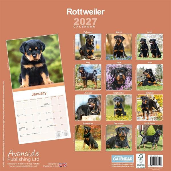 Rottweiler Calendar 2027, Wall Calendars, Month To View, Dogs, Gift