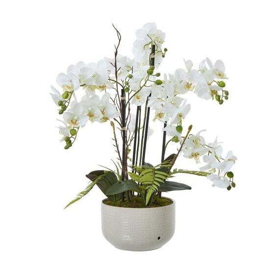 Wyld Haus Artificial Plant Large White Orchid In Ceramic Pot