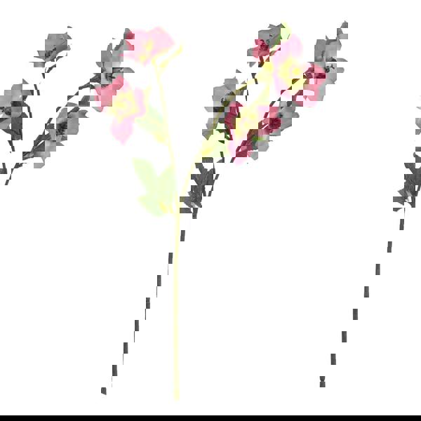 Hill Interiors The Natural Garden Collection Varigated Hellibore Artificial Flower - Pink