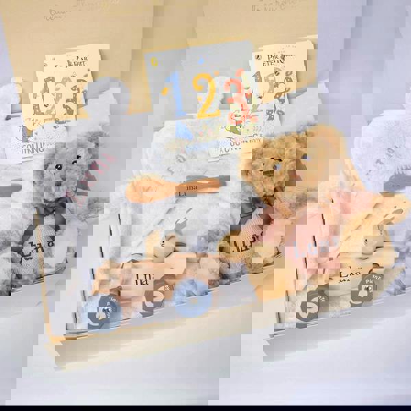 The Baby Gifting Company Luxury New Baby Girl Gift Set Hamper