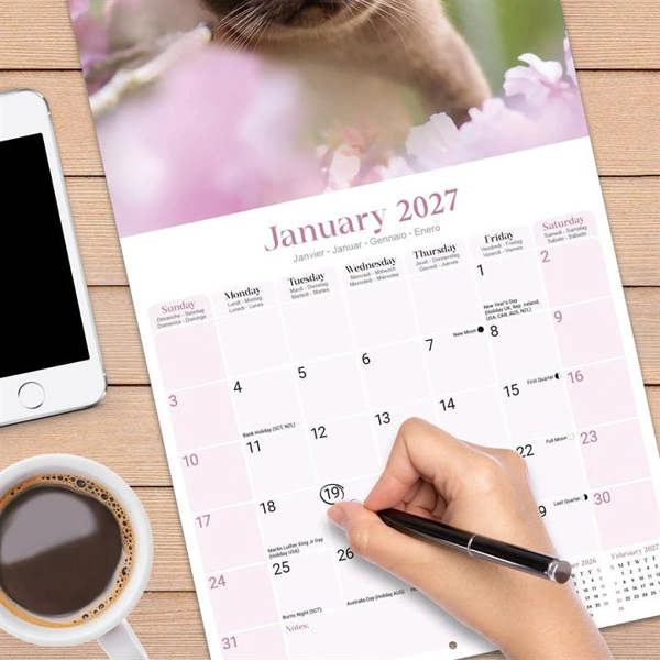Burmese Cats Calendar 2027, Wall Calendars, Month To View, Cats, Gift