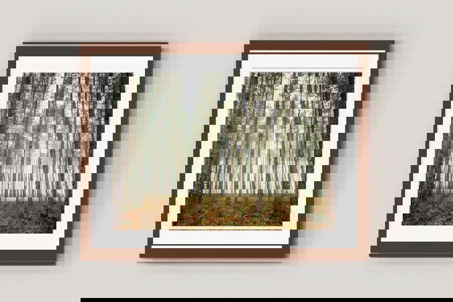 Framed woodland landscape art print