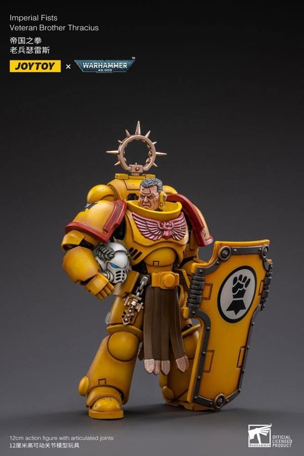 Joy Toys Warhammer 40K Imperial Fists Veteran Brother Thracius 1:18 Scale Joy Toy JT3013