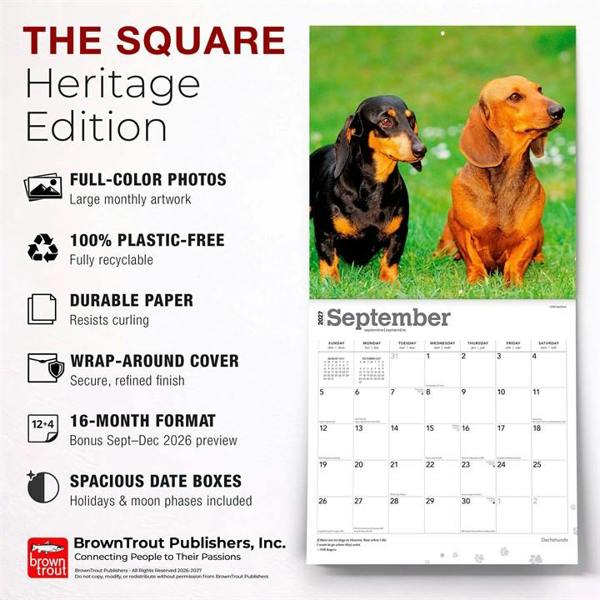 Dachshunds Calendar 2027, Wall Calendars, Month To View, Dogs, Gift