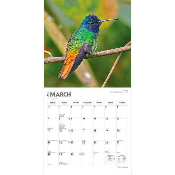 Hummingbirds Calendar 2027, Wall Calendars, Month To View, Animals, Gift
