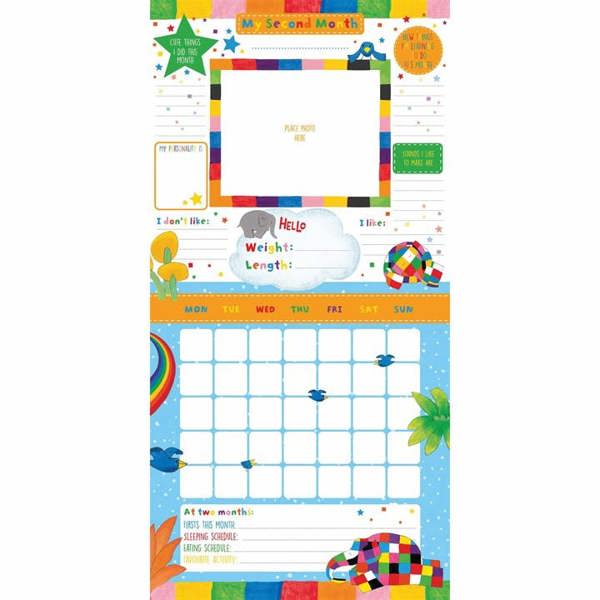 Elmer the Elephant Baby's First Year Calendar, Perpetual Calendars and Diaries, Month To View, History & Literature, Gift