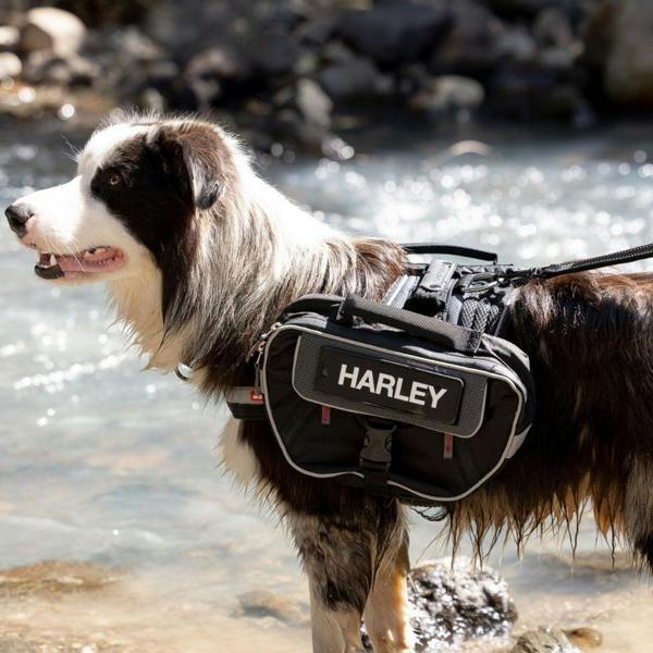 EzyDog Convert Saddle Bags for Express Harness