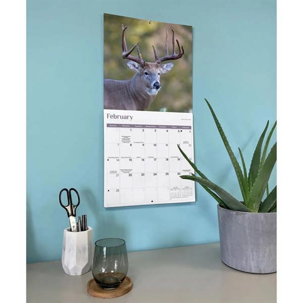 White-Tailed Deer Calendar 2027, Wall Calendars, Month To View, Animals, Gift