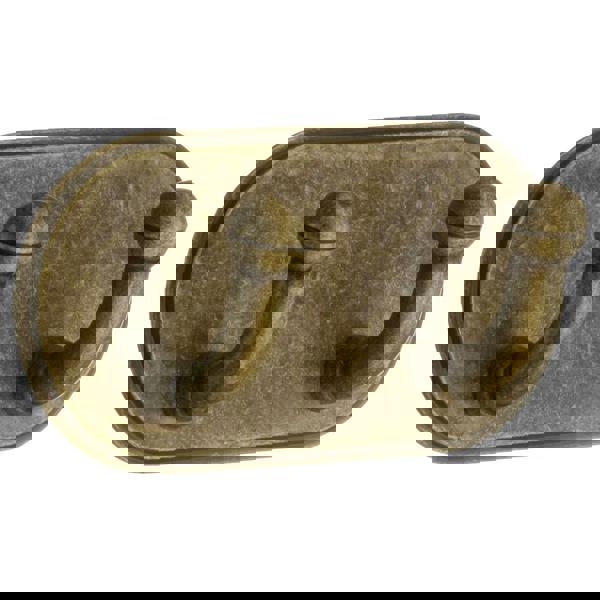 Antique brass finish double towel hook