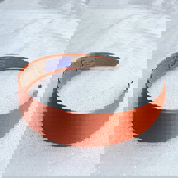 Orange hairband, smooth satin finish, vibrant bold orange shade, padded structure, sleek minimalist design, versatile everyday accessory
