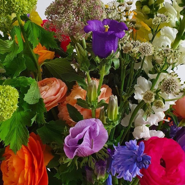 Virgin Experience Days Snip your Own Bouquet from the Flower Farm with Prosecco for Two