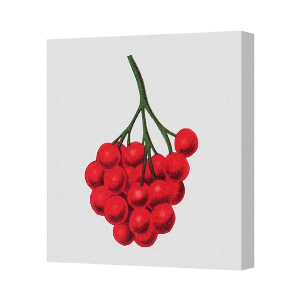 Benjamin Tate Design Red Berry Cluster Gallery Wrapped Canvas Wall Art Print