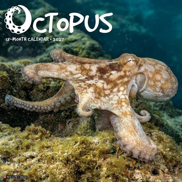 Octopus Calendar 2027, Wall Calendars, Month To View, Animals, Gift