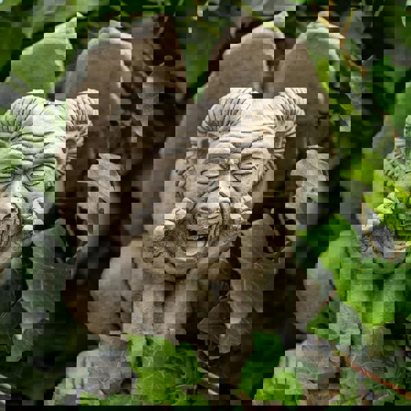 Set of Three Gargoyle statues