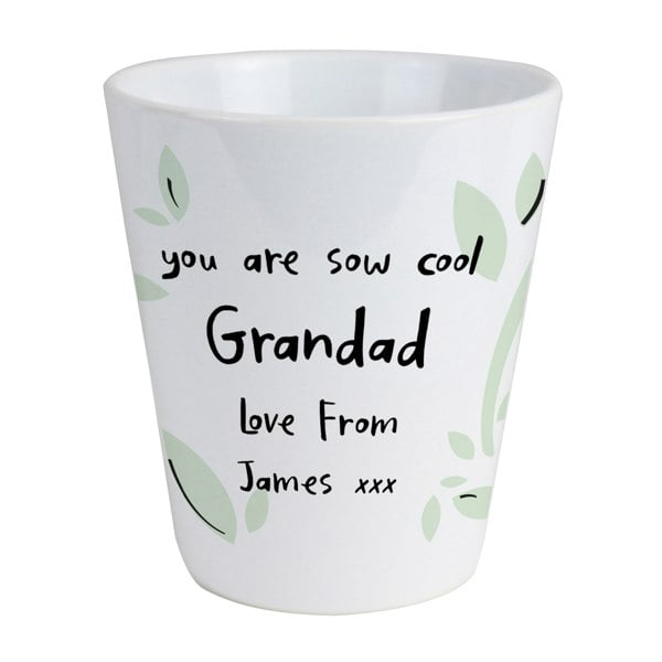 Personalised Memento Company Personalised Free Text Botanical Plant Pot