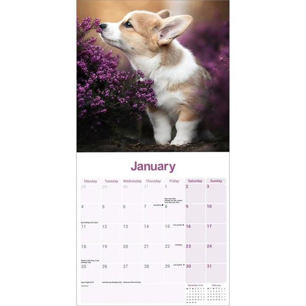 Corgi Calendar 2027, Wall Calendars, Month To View, Dogs, Gift