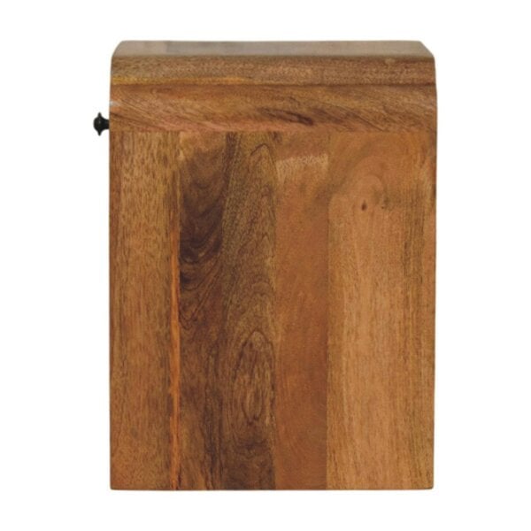 Wyld Haus Paris Natural Mango Wood Nightstand with Drawer and Shelf