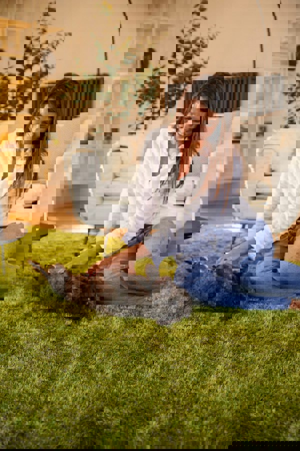 Origins Chicago Olive